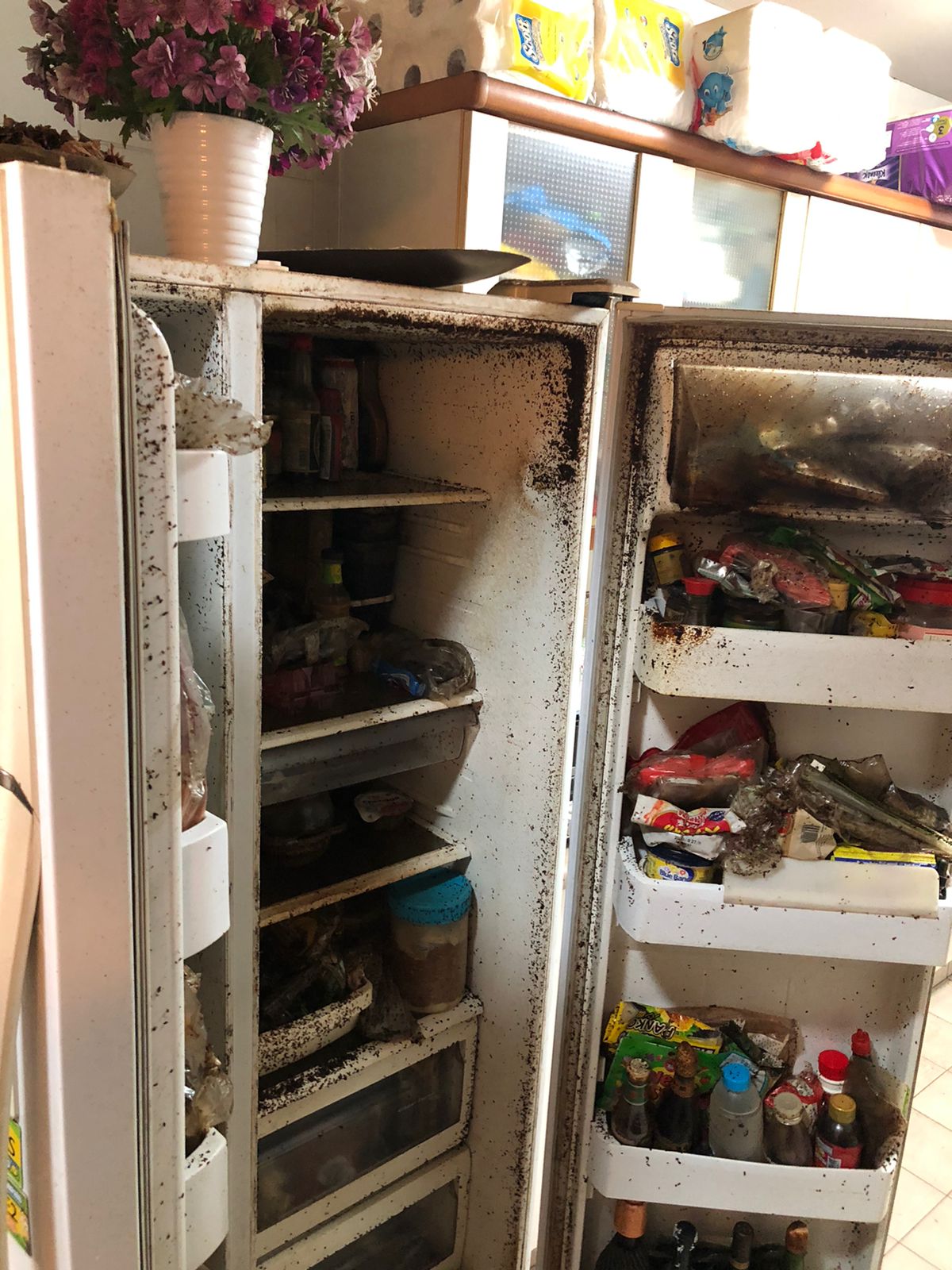 Interior of a refrigerator with mold growth, food spills, and cluttered shelves needing cleaning.