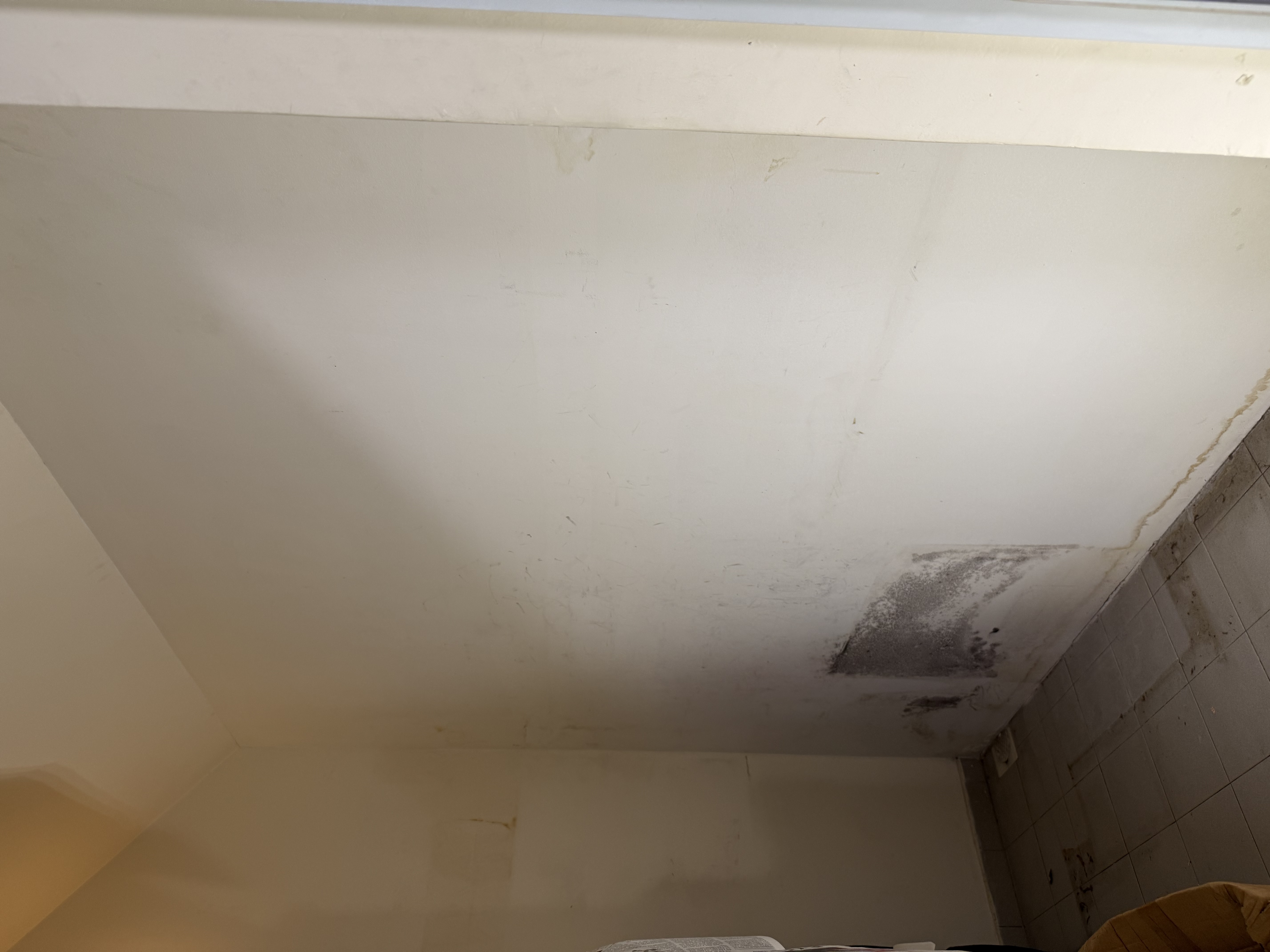 Interior partition wall in a Pasir Panjang landed-property unit ready for soft demolition and renovation.